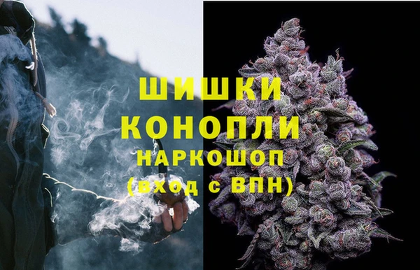 гидра Белокуриха