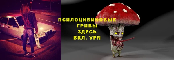 прущие грибы Белоозёрский