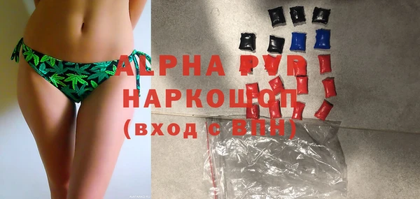 гидра Белокуриха